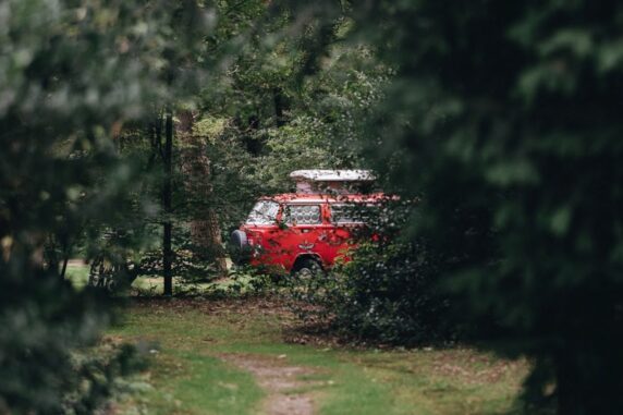 In de Rimboe - photo 13