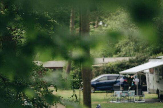 In de Rimboe - photo 11