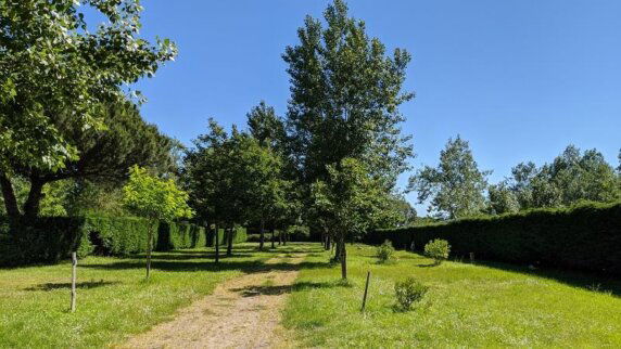 Camping Le Montet d&#8217;Oléron - photo 3