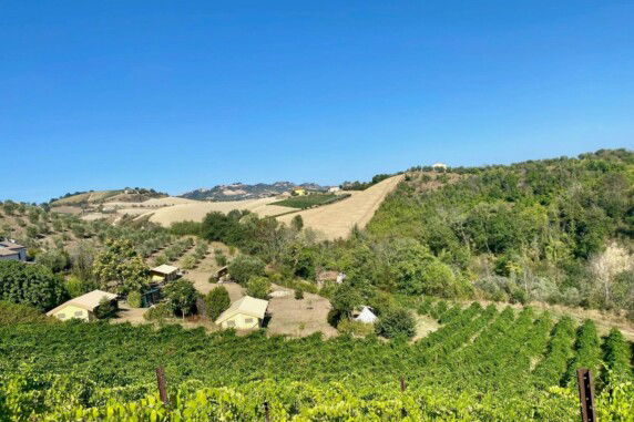 Agriturismo Angeli Sognanti - photo 1