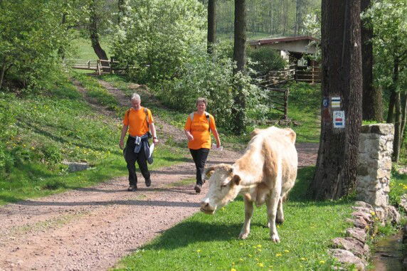 Camping Aktief - photo 10
