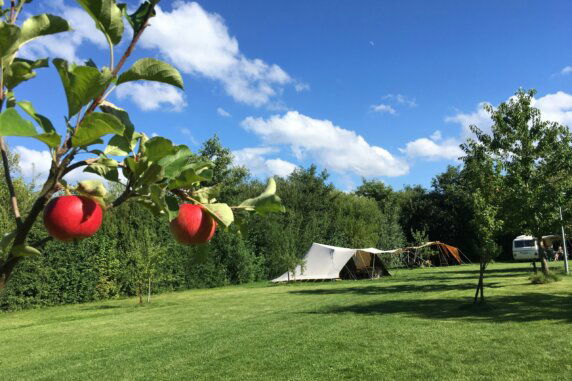 Camping De Kamperhoek - photo 2