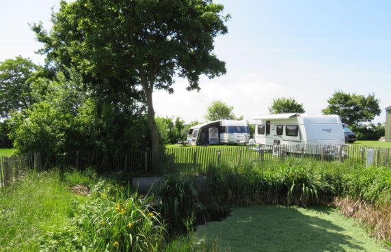 Camping Den Molinshoeve - photo 6
