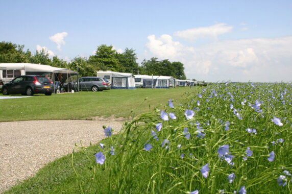 Camping Den Molinshoeve - photo 2