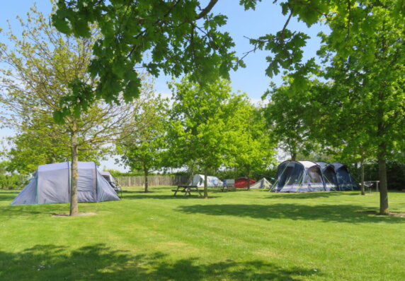 Camping Den Molinshoeve - photo 1