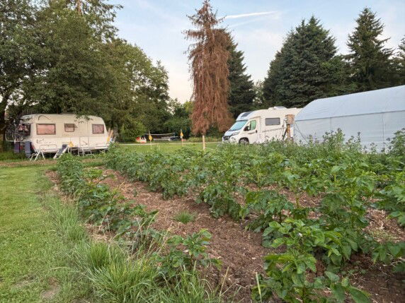 Camping Du Moulin - photo 4