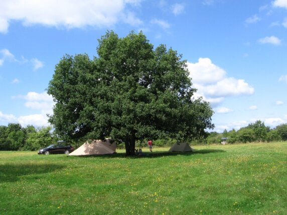 Camping La Semnadisse - photo 1