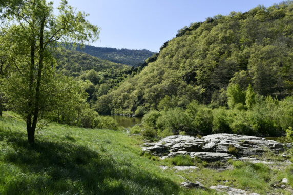 Camping Loz’Aire Naturelle - photo 9