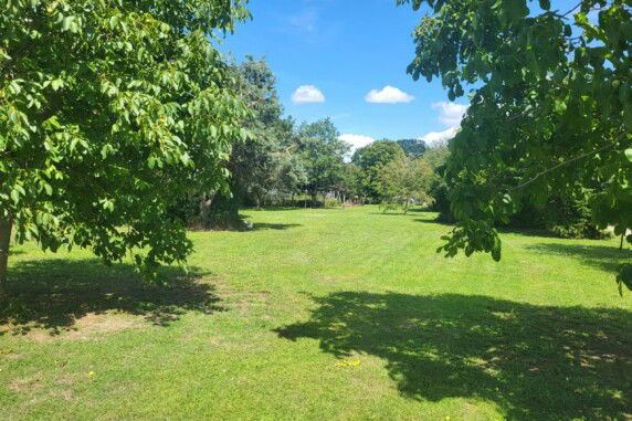 Camping Wijndomein Erve Wisselink - photo 5