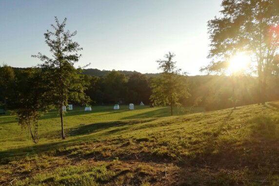Future is Nature - photo 5