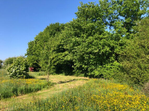 Jardin Josette - photo 11