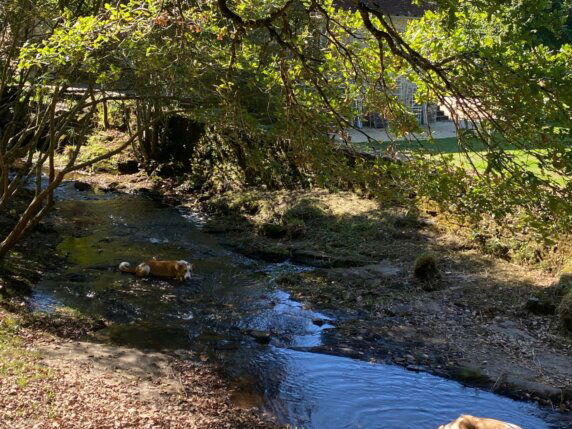 Le Domaine du Moulin Neuf - photo 5