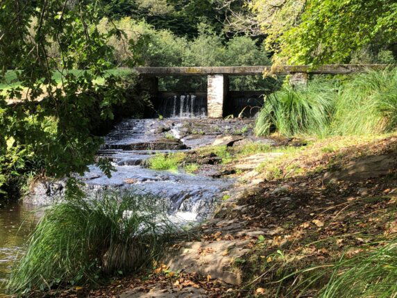 Le Domaine du Moulin Neuf - photo 8