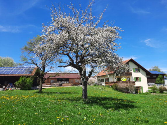 Minicamping in Dietmannsiried - photo 7