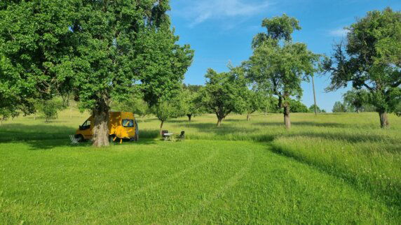 Minicamping in Herdwangen-Schönach - photo 1