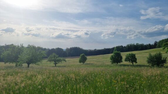 Minicamping in Herdwangen-Schönach - photo 3