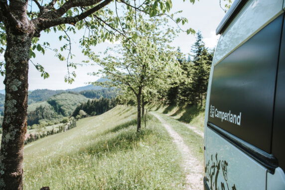 Minicamping in Oberkirch - photo 21