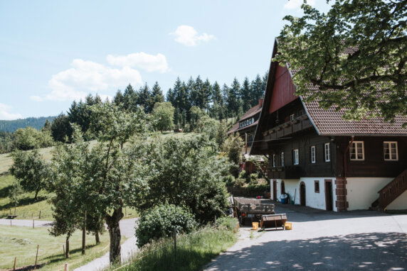 Minicamping in Oberkirch - photo 14