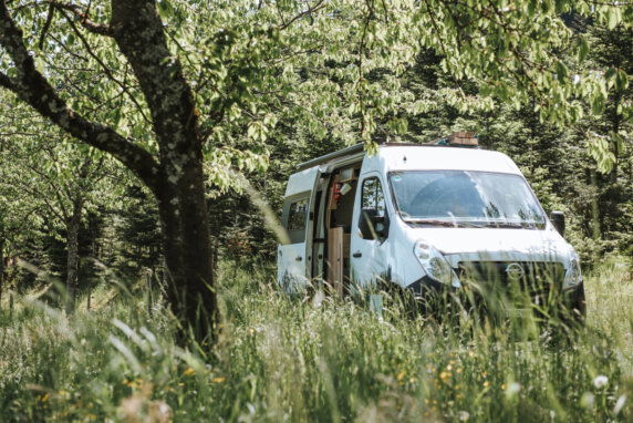 Minicamping in Oberkirch - photo 16