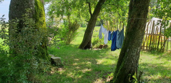Minicamping Lepelie - photo 7