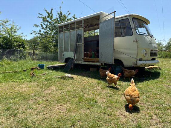 Natuurcamping in Caylus - photo 7