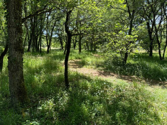Natuurcamping in Caylus - photo 6