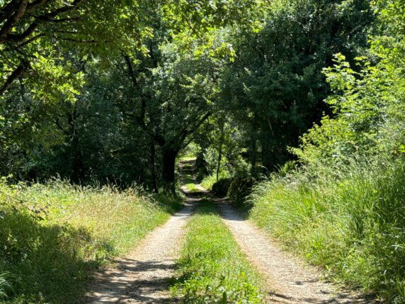 Natuurcamping in Caylus - photo 10