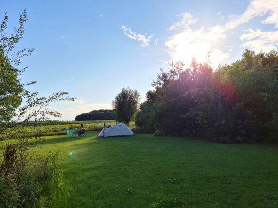 Natuurcamping in Den Hout - photo 1
