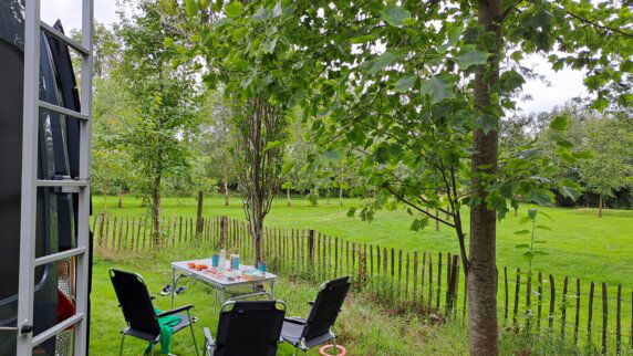 Natuurcamping in Den Hout - photo 4
