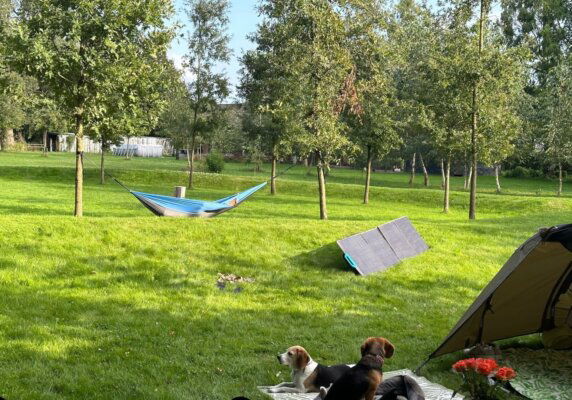 Natuurcamping in Den Hout - photo 8