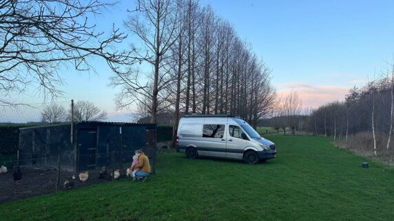 Natuurcamping in Den Hout - photo 18