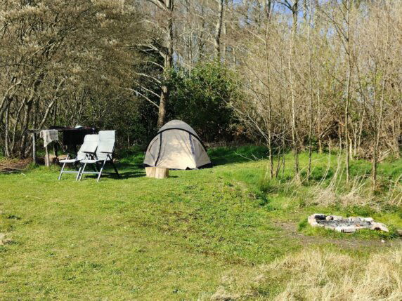 Natuurcamping in Den Hout - photo 2