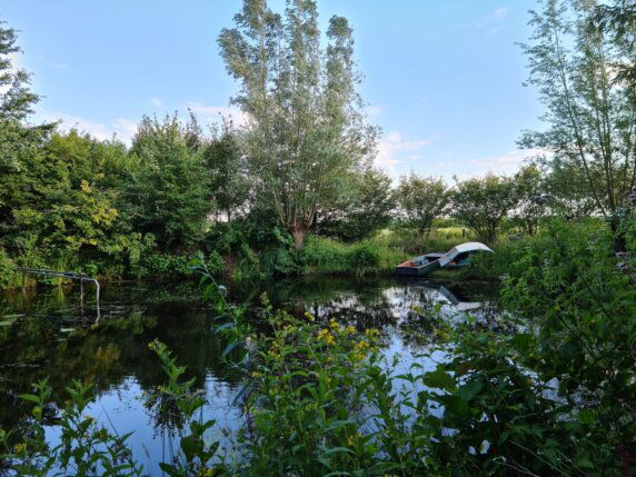 Natuurcamping in Den Hout - photo 6