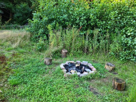 Natuurcamping in Den Hout - photo 7
