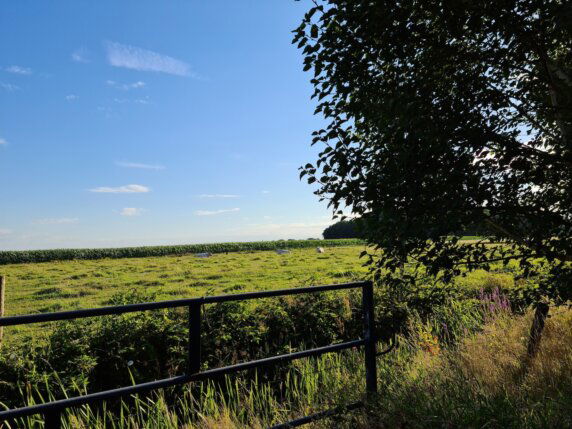 Natuurcamping in Den Hout - photo 19