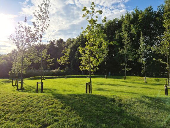 Natuurcamping in Den Hout - photo 12