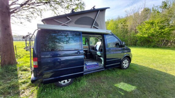 Natuurcamping in Den Hout - photo 16
