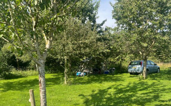 Natuurcamping in Drouwenerveen - photo 5