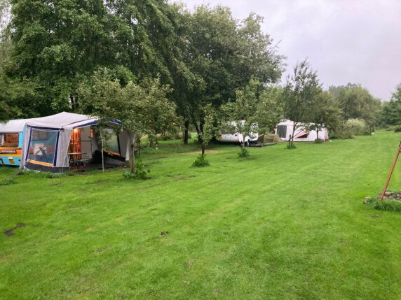 Natuurcamping in Drouwenerveen - photo 7