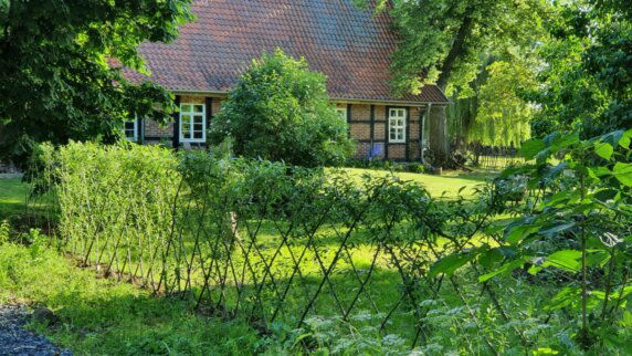 Natuurcamping in Hasbergen - photo 7