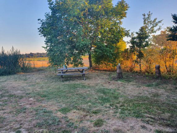 Natuurcamping in Herent - photo 13