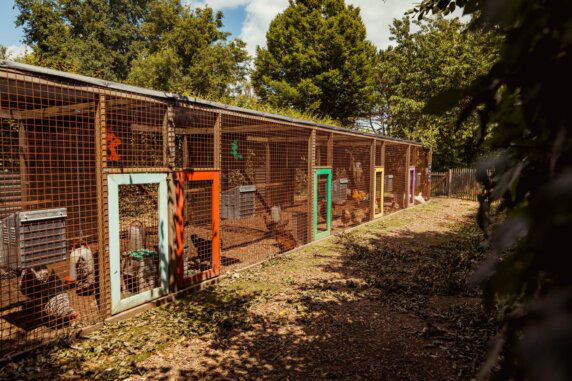 Natuurcamping in Herent - photo 17