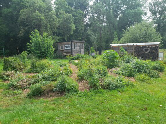 Natuurcamping in Orp-Jauche - photo 16