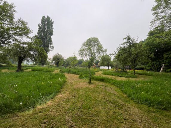 Natuurcamping in Orp-Jauche - photo 12