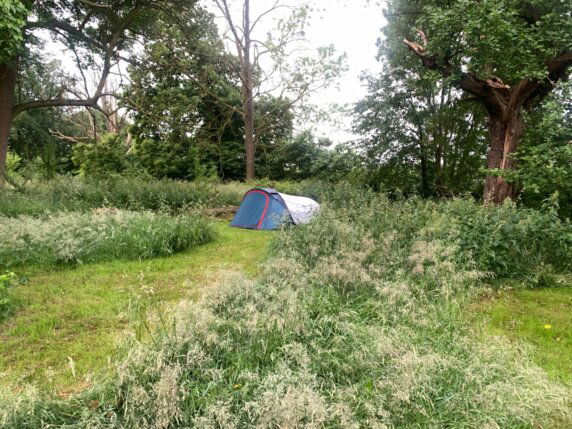 Natuurcamping in Orp-Jauche - photo 2