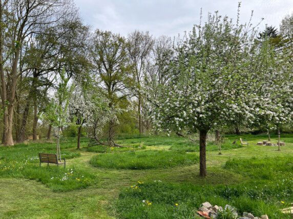 Natuurcamping in Orp-Jauche - photo 7