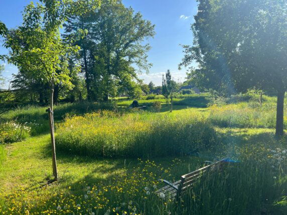 Natuurcamping in Orp-Jauche - photo 8