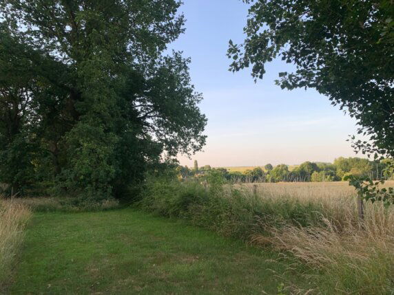 Natuurcamping in Orp-Jauche - photo 9