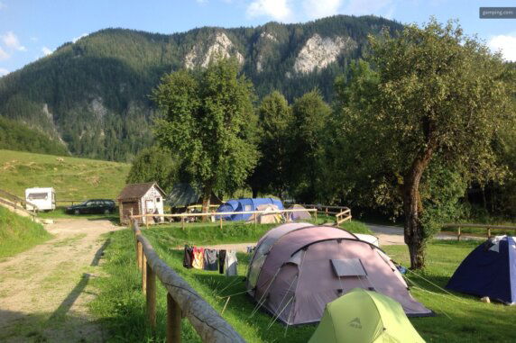 Natuurcamping in Palfau - photo 14