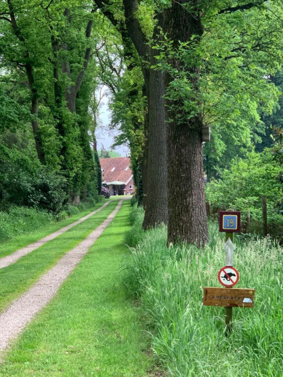 Natuurcamping in Ratum - photo 10